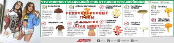 хмурый Алексин