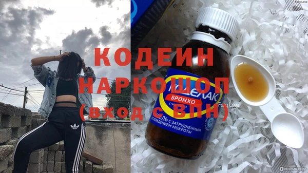 хмурый Алексин