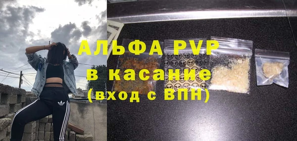 хмурый Алексин